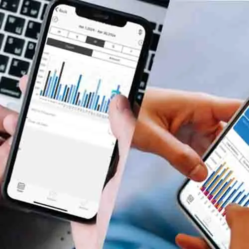 Consumer Loan Software