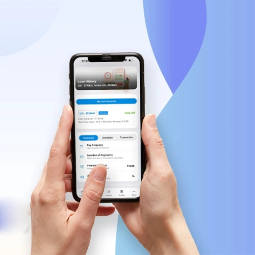 Digital Lending Platforms